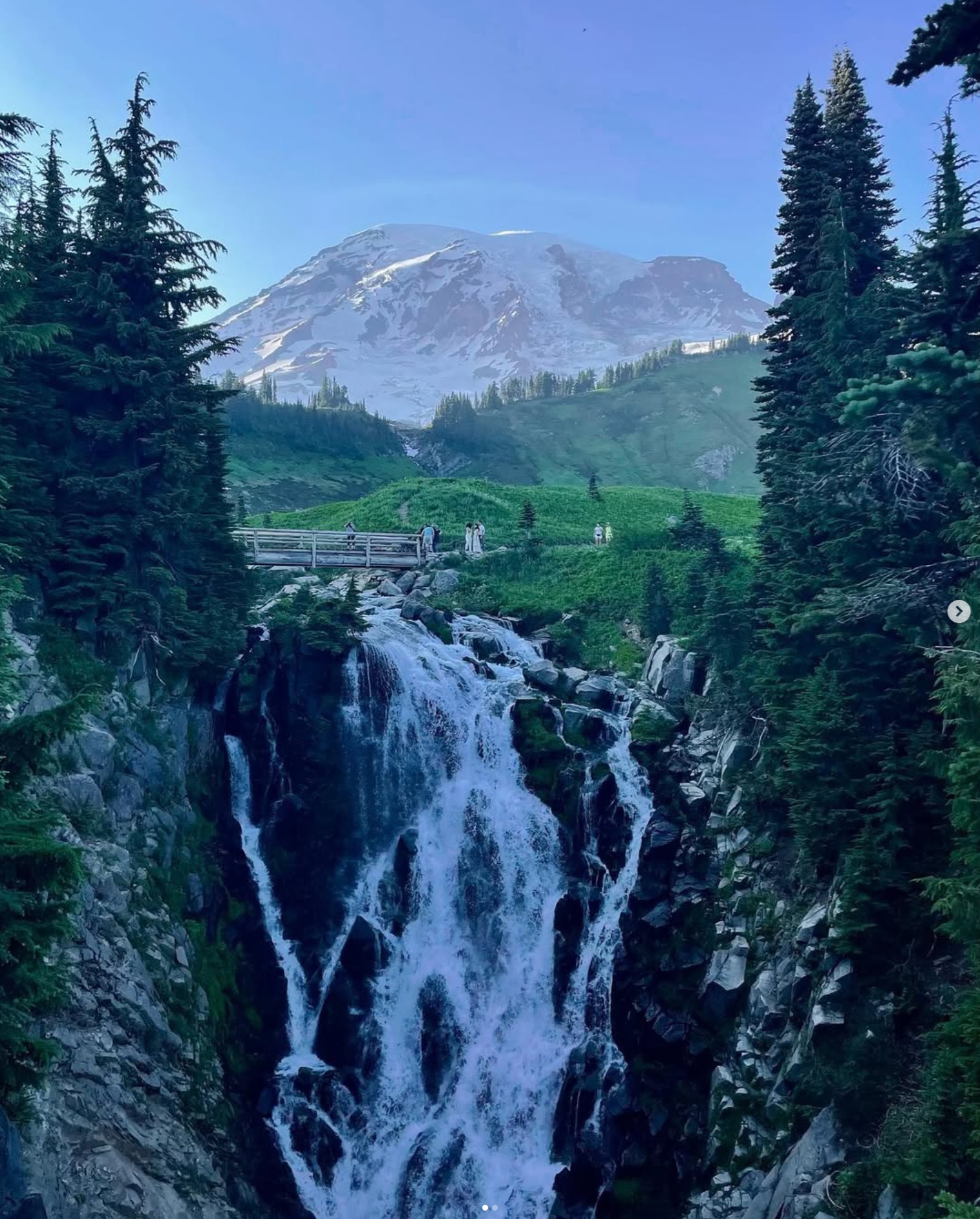 mosaic collection image