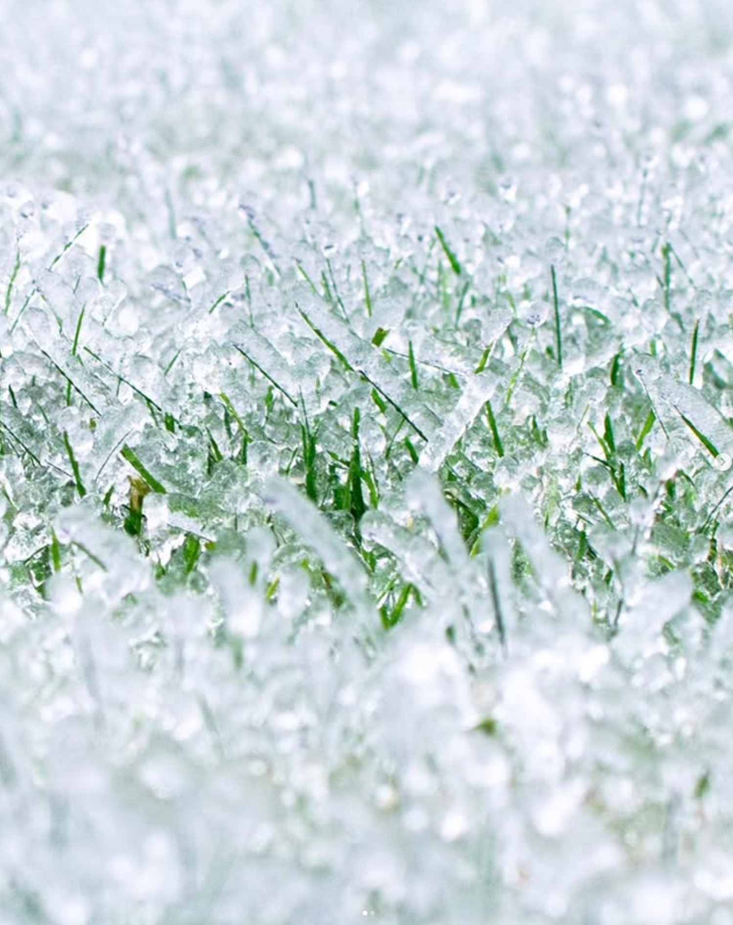 mosaic collection image