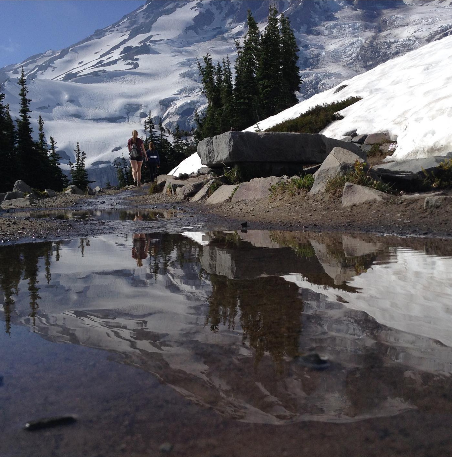 mosaic collection image