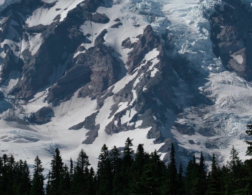 mosaic collection image