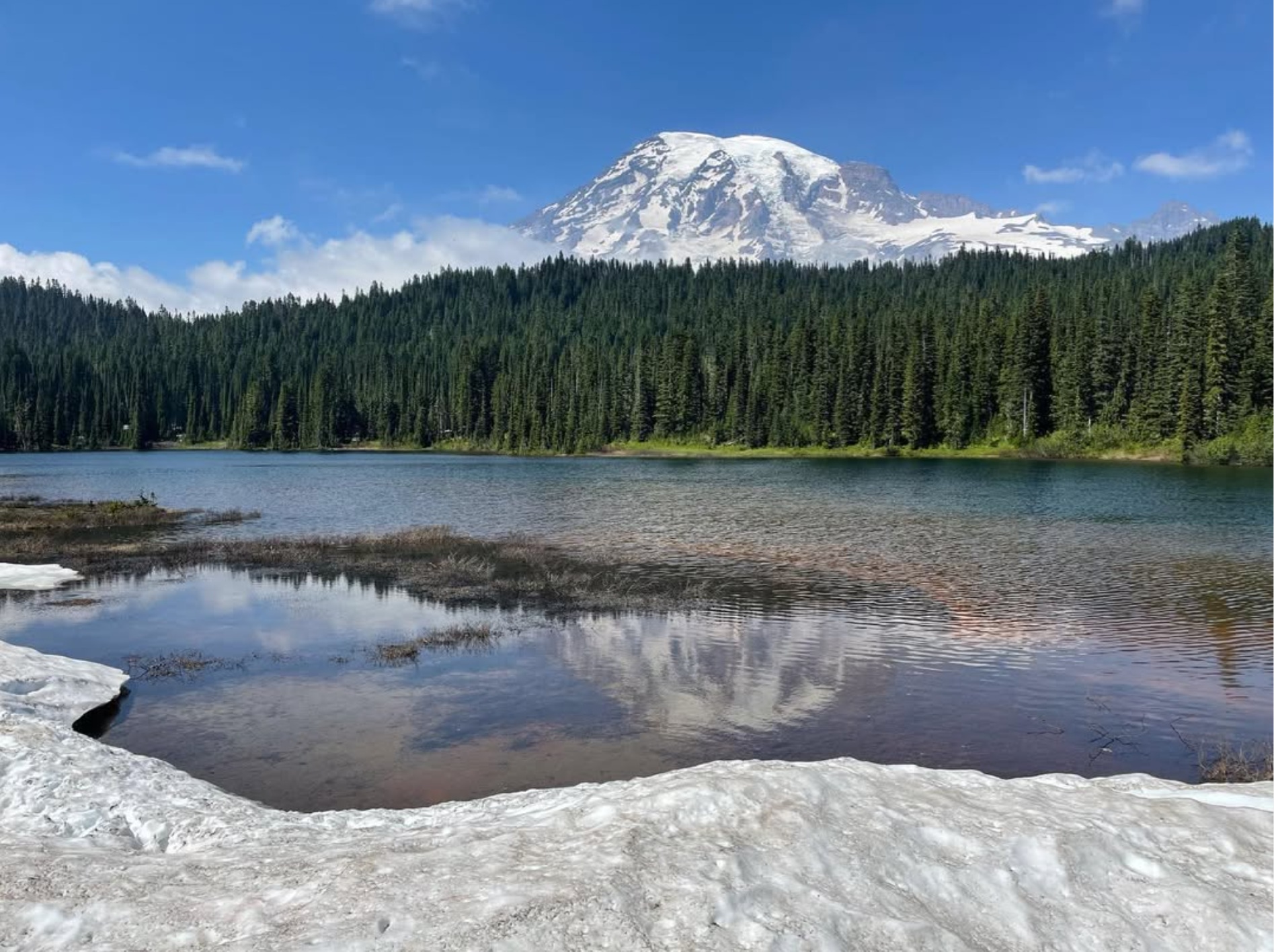 mosaic collection image